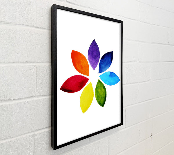 Chakra Lotus Colours