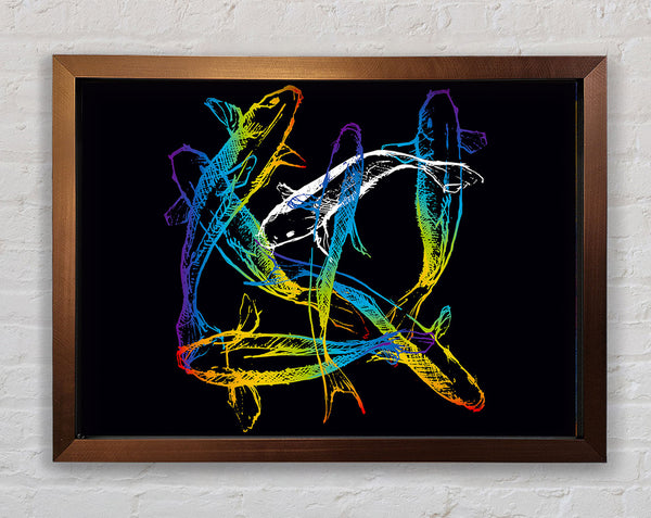 Japanese Rainbow Koi Framed Print