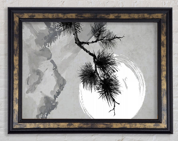 Japanese Tree In The Sun Framed Print