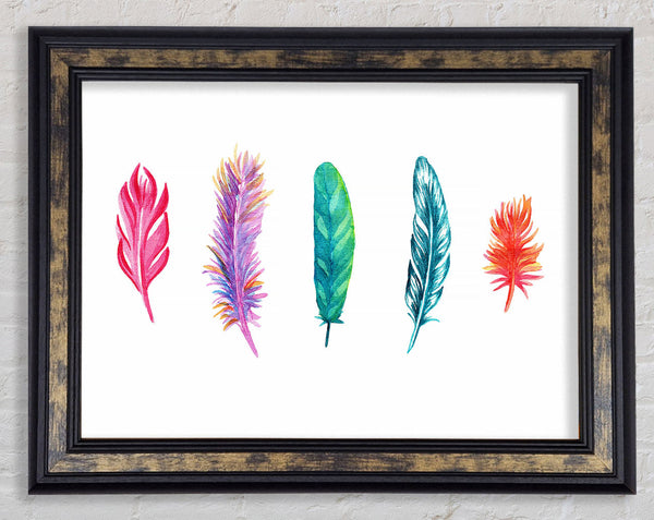 Red Indian Rainbow Feathers Framed Print