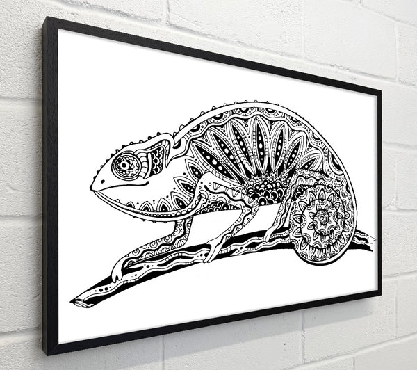 Mexican Lizard