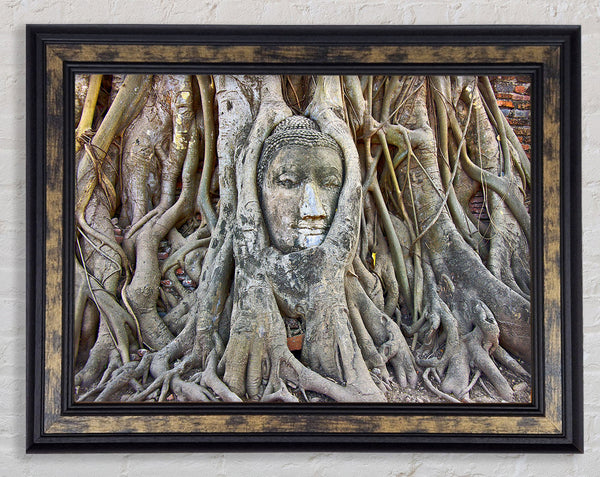 Buddha 21 Framed Print