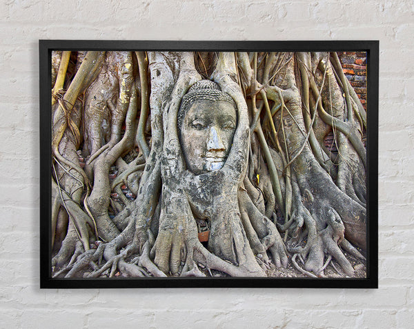 Buddha 21 Framed Print