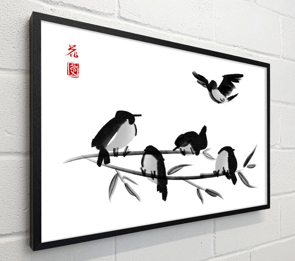 Chinese Birds