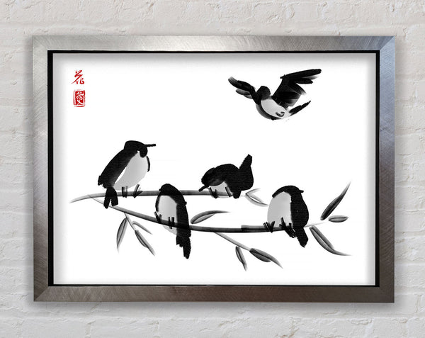 Chinesische Vögel