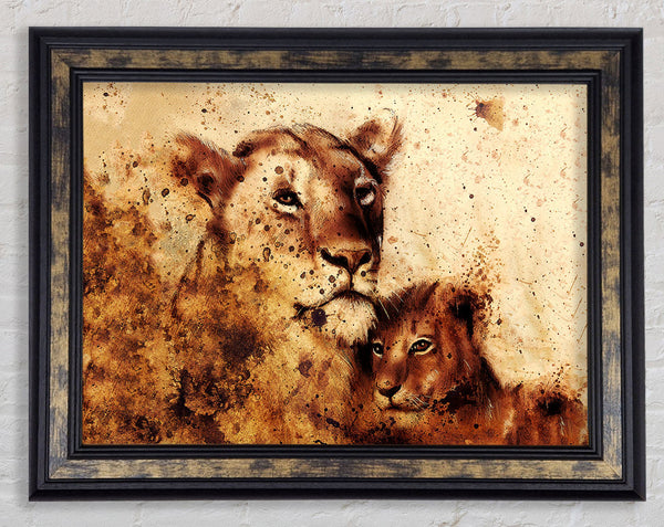 Indian Lioness Framed Print