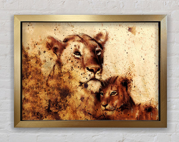 Indian Lioness Framed Print