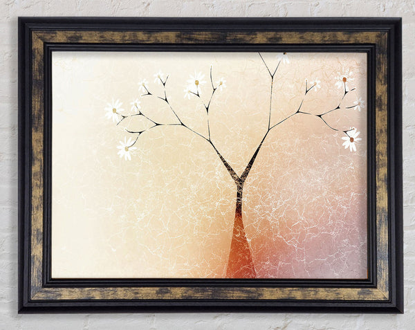 Apple Blossom Tree Framed Print