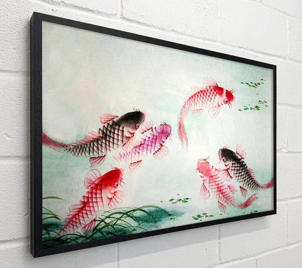 Japanese Colourful Koi