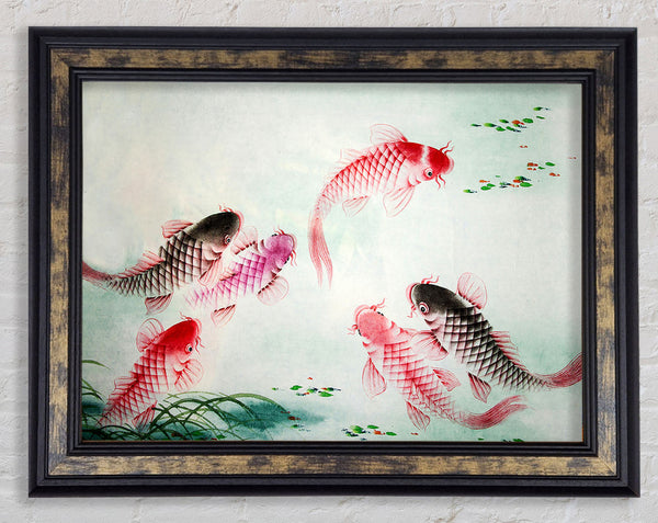 Japanese Colourful Koi Framed Print