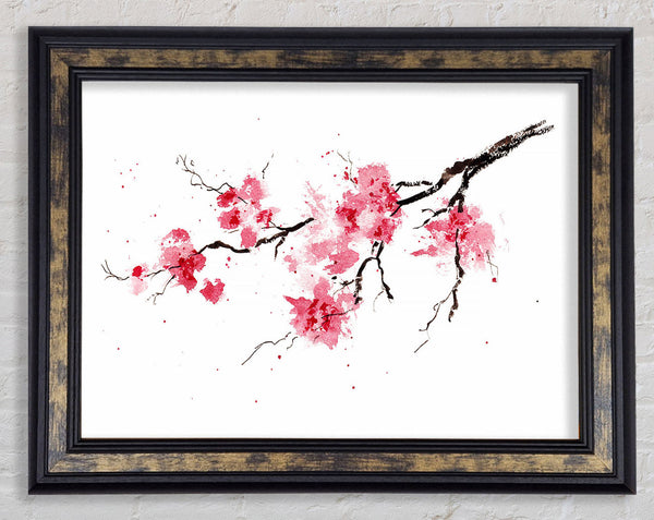 Chinese Cherry Blossom branch Framed Print