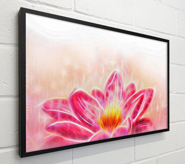 The Energy Of A Lotus Flower