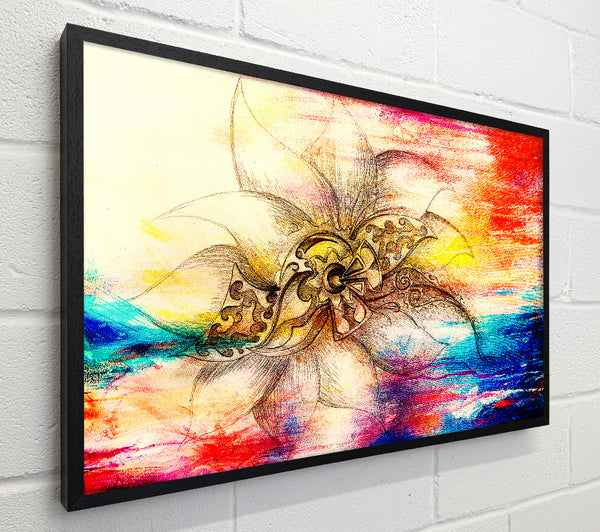Colourful Lotus Flower