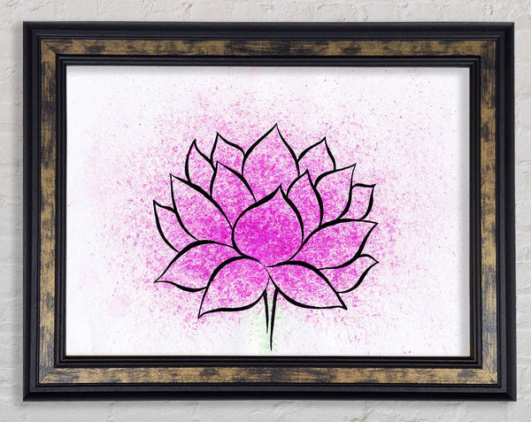 Pink Lotus Flower 2 Framed Print
