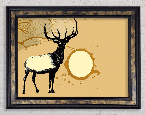 Stag In The Golden SunA Framed Print