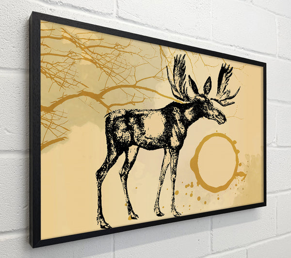 Moose In The Golden SunA