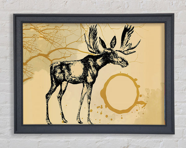 Moose In The Golden SunA Framed Print
