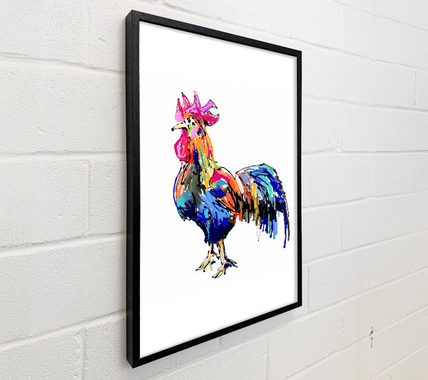 Rainbow RoosterA