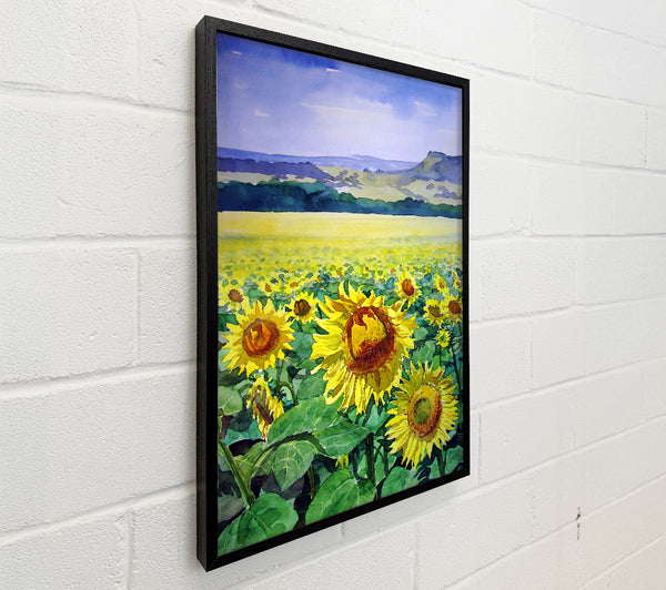 Sunflower Field