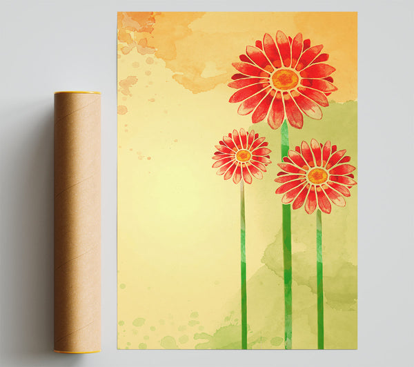 Trio Of Daisies Giclee Print