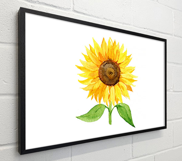 Single Sunflower