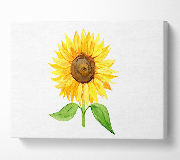  A Canvas Print of Single Sunflower Canvas Art