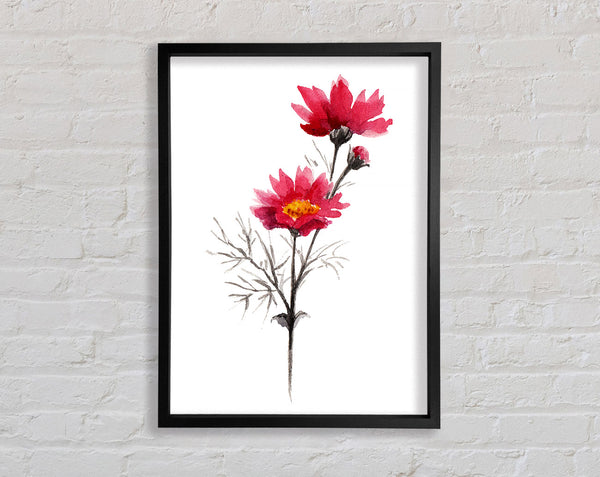Rosa Blumenspray