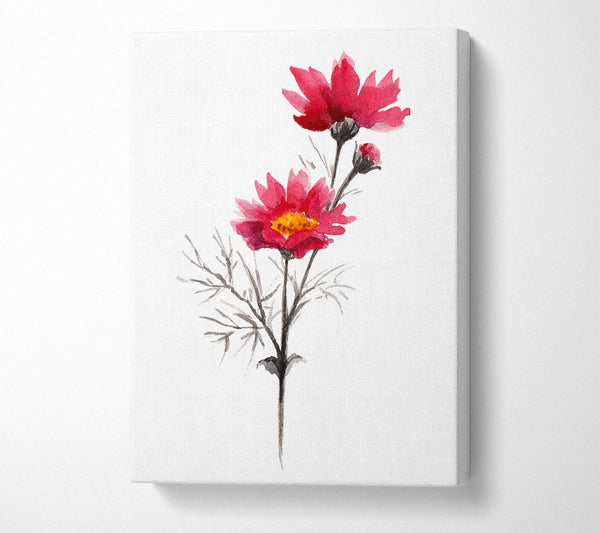  A Canvas Print of Pink Flower Spray Canvas Print