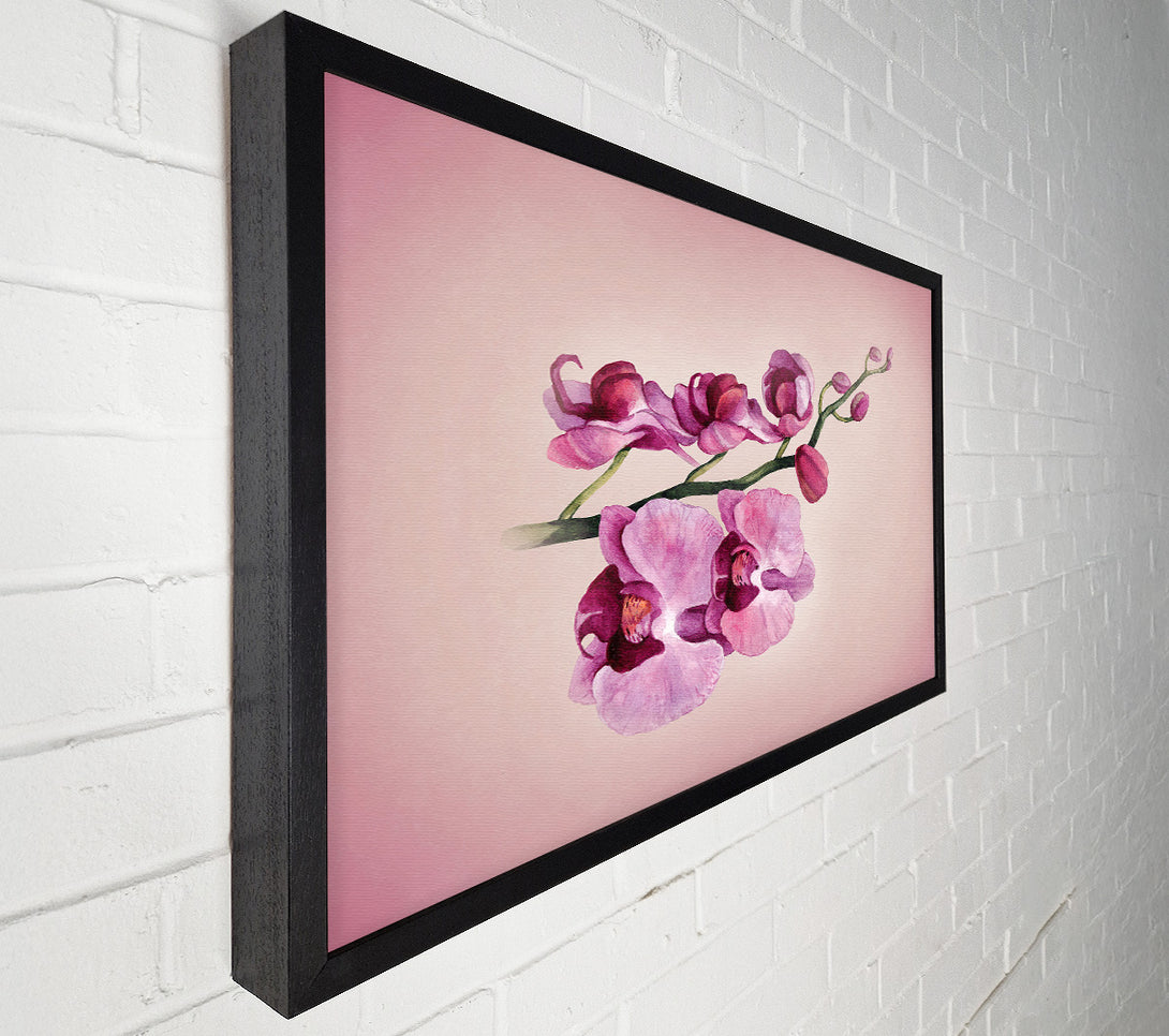  A Canvas Print of Pink Orchid Canvas Wall Art