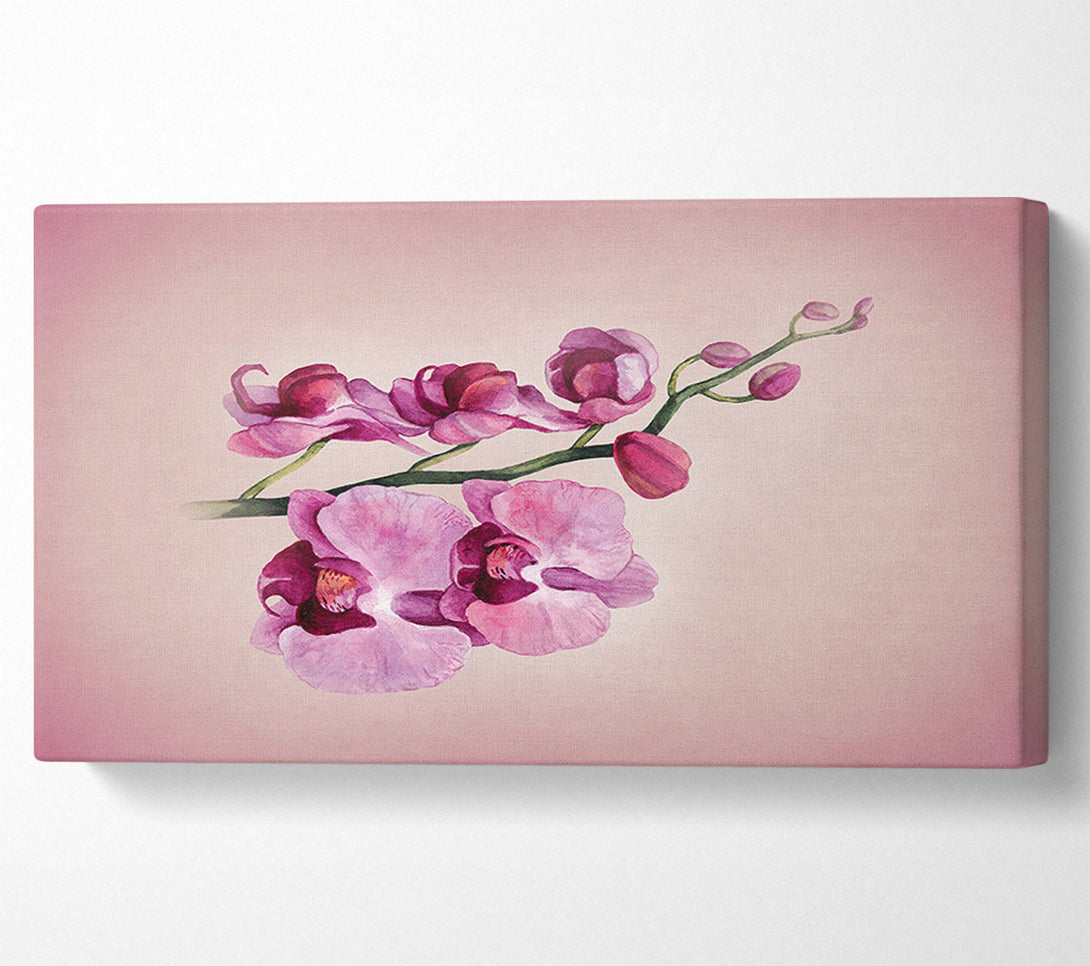  A Canvas Print of Pink Orchid Canvas Wall Art