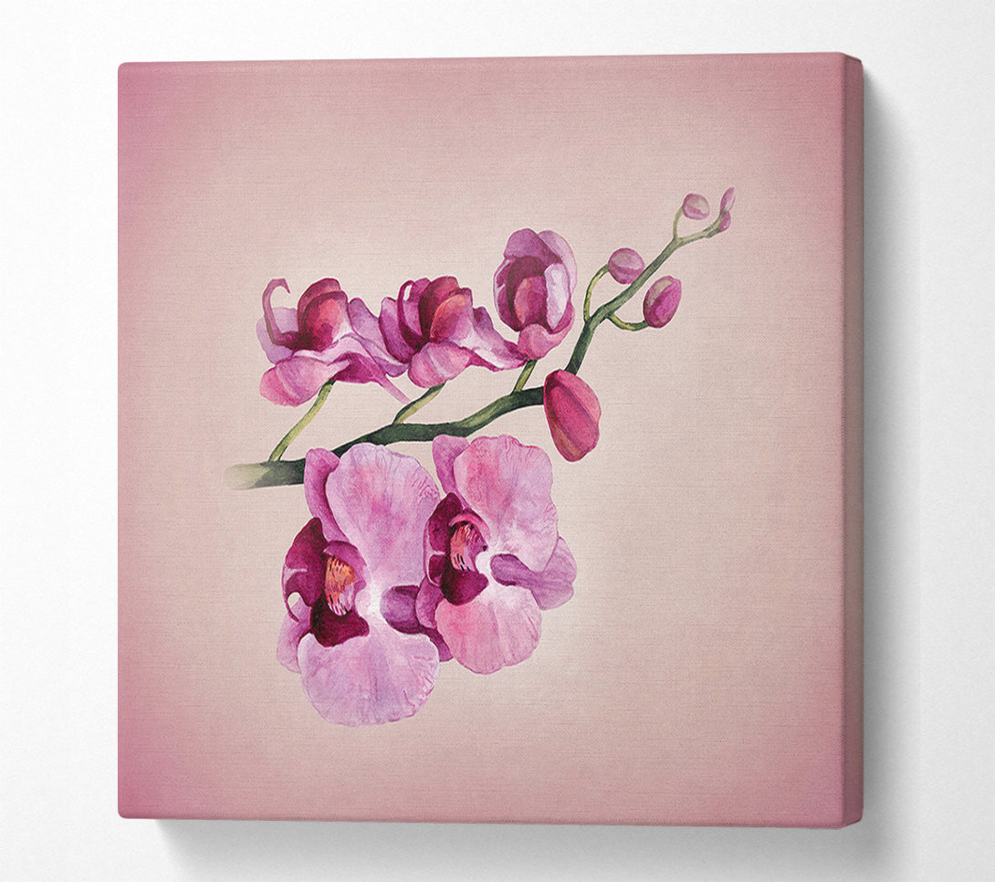  A Canvas Print of Pink Orchid Canvas Wall Art