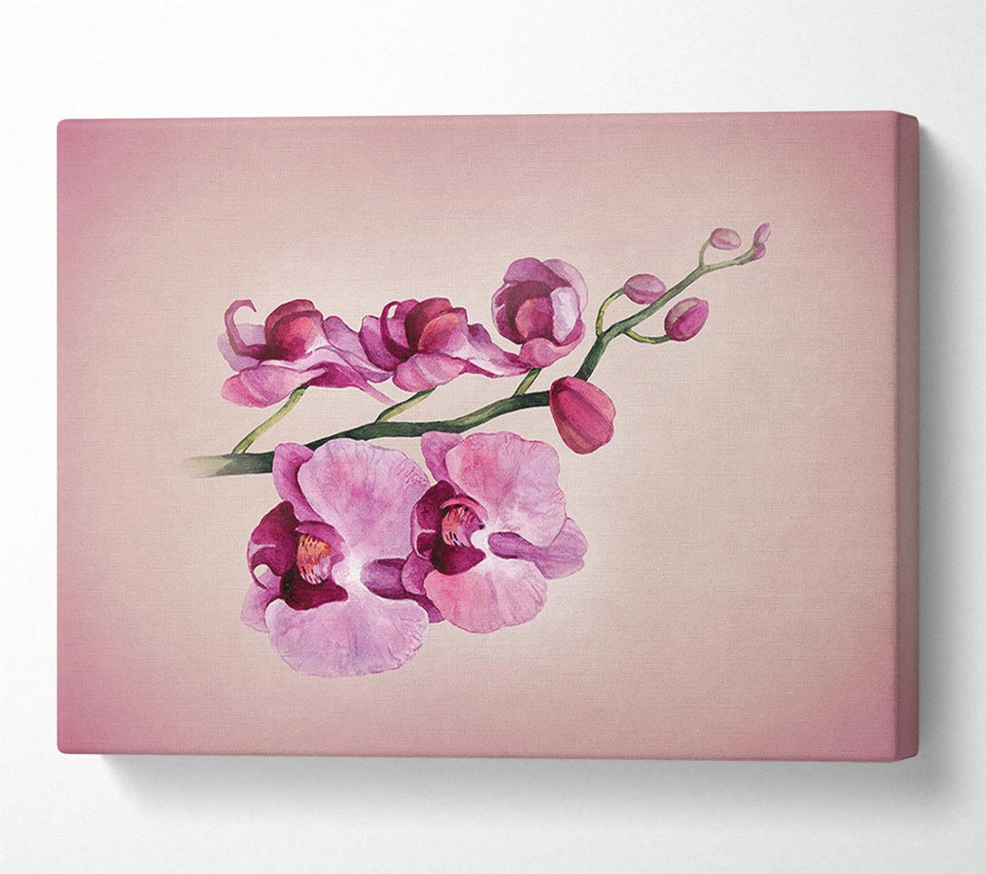  A Canvas Print of Pink Orchid Canvas Wall Art