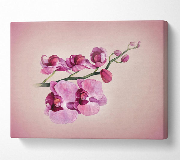  A Canvas Print of Pink Orchid Canvas Wall Art