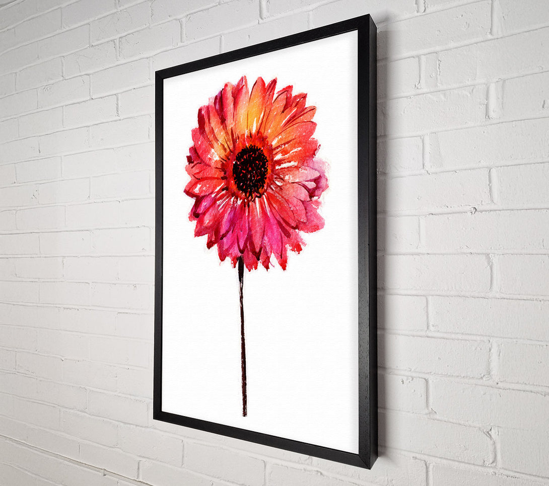  A Canvas Print of Gerbera pinks Canvas Print