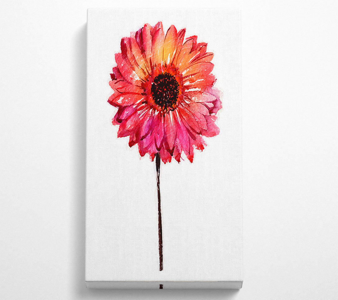  A Canvas Print of Gerbera pinks Canvas Print