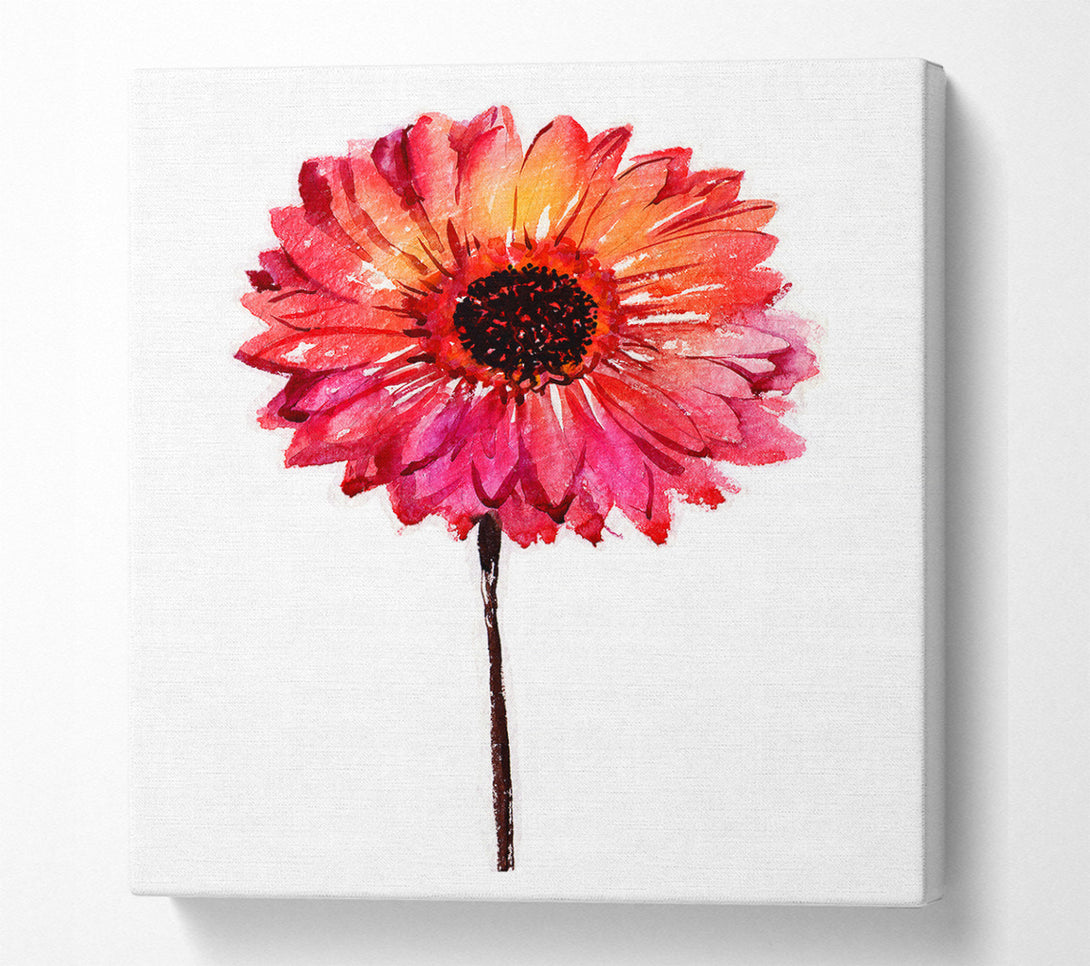  A Canvas Print of Gerbera pinks Canvas Print