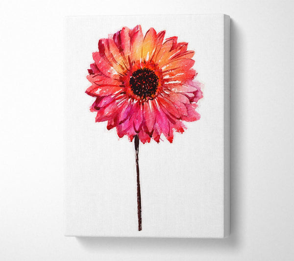  A Canvas Print of Gerbera pinks Canvas Print