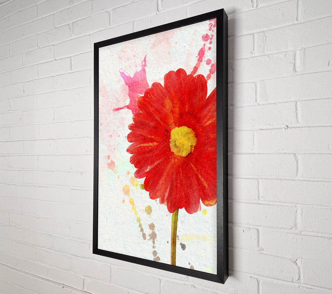 A Canvas Print of Gerbera Splash Canvas Art