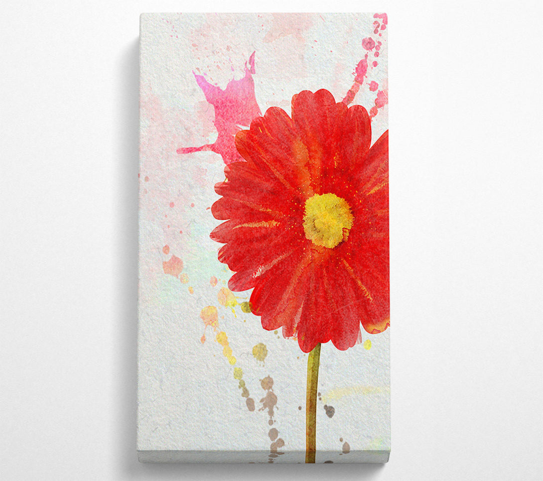  A Canvas Print of Gerbera Splash Canvas Art