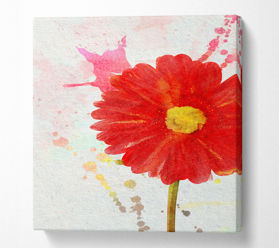  A Canvas Print of Gerbera Splash Canvas Art