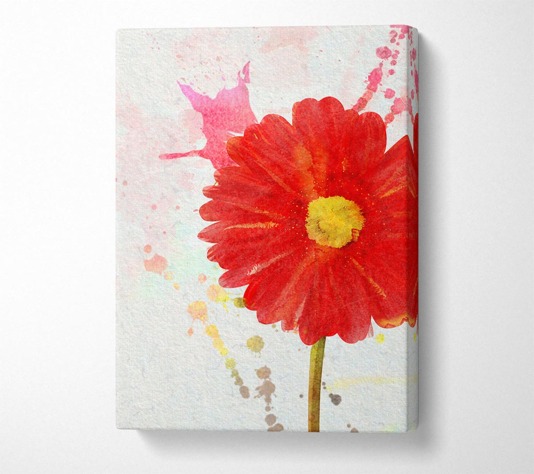  A Canvas Print of Gerbera Splash Canvas Art