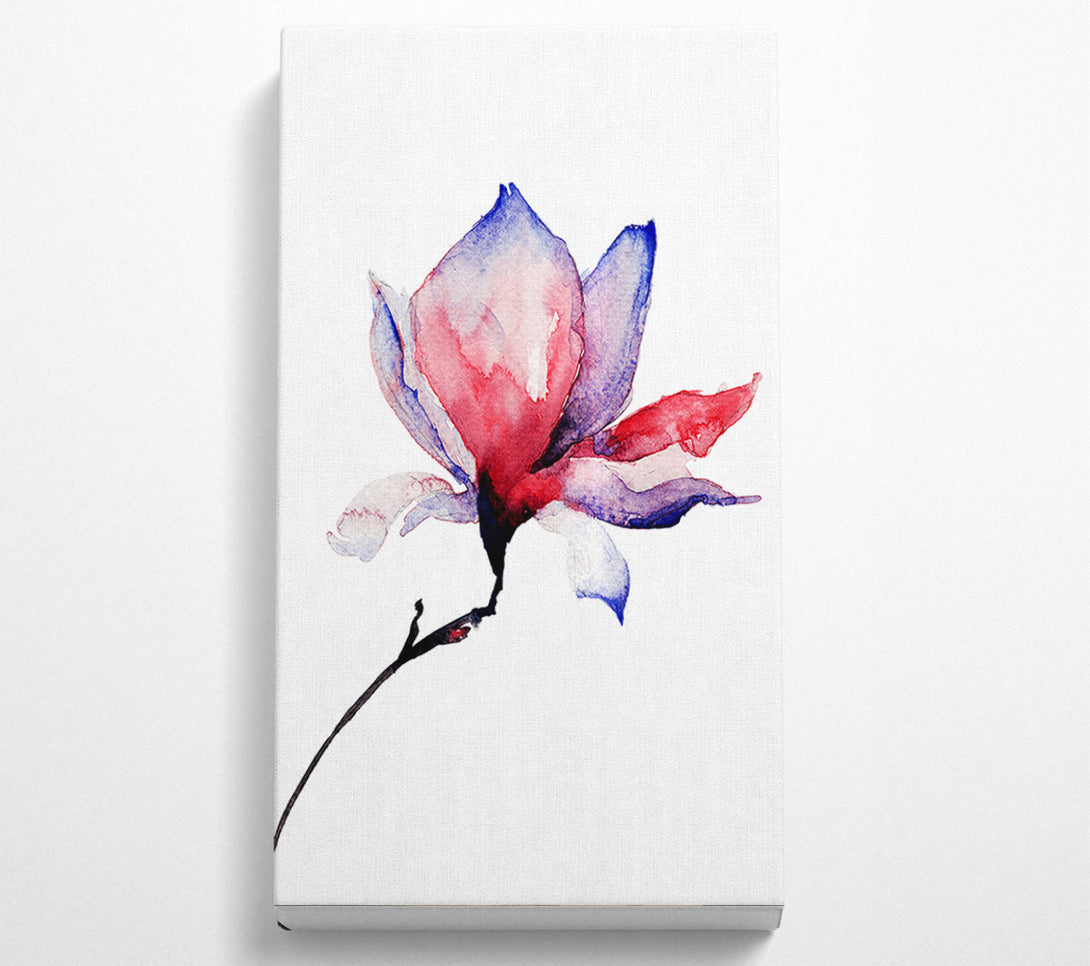  A Canvas Print of Just Before The Bloom Canvas Print