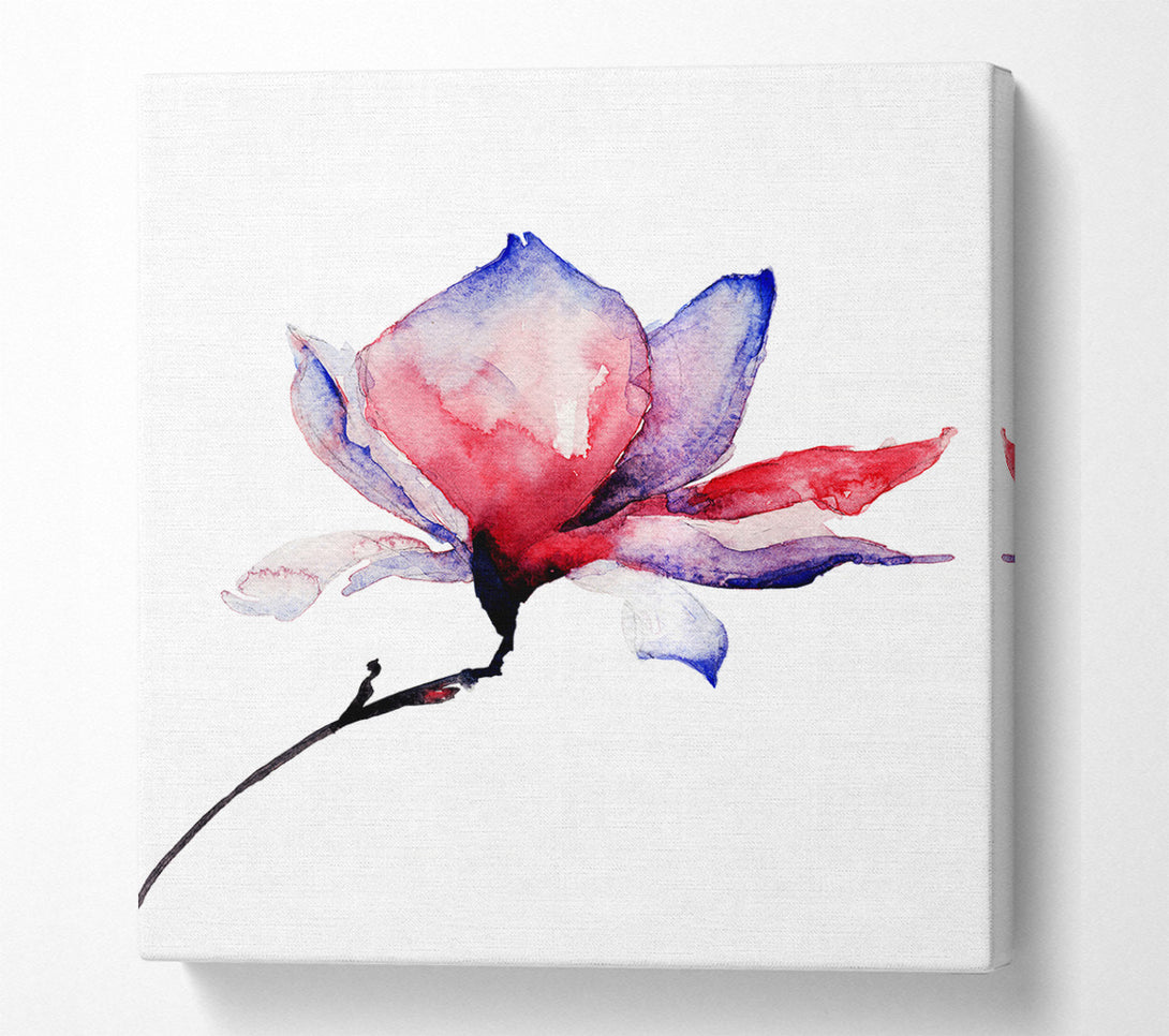  A Canvas Print of Just Before The Bloom Canvas Print