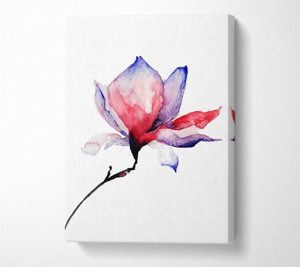  A Canvas Print of Just Before The Bloom Canvas Print