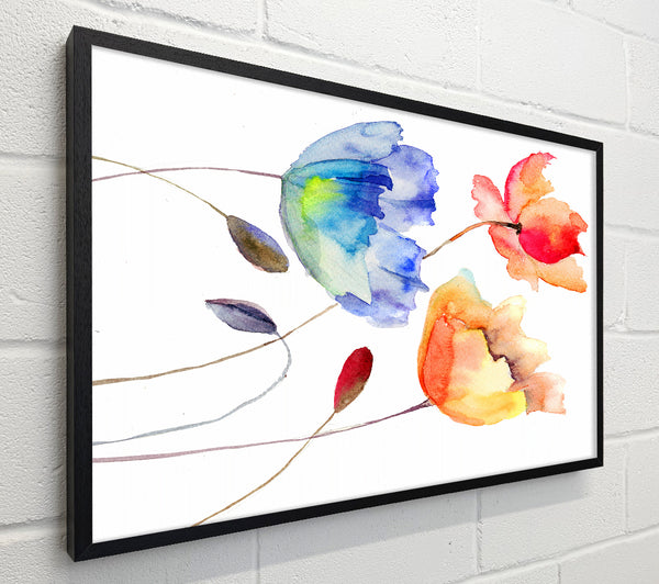 Poppy Watercolour