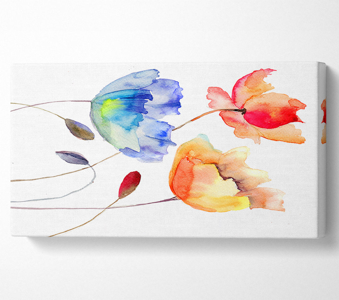  A Canvas Print of Poppy Watercolour Canvas Art
