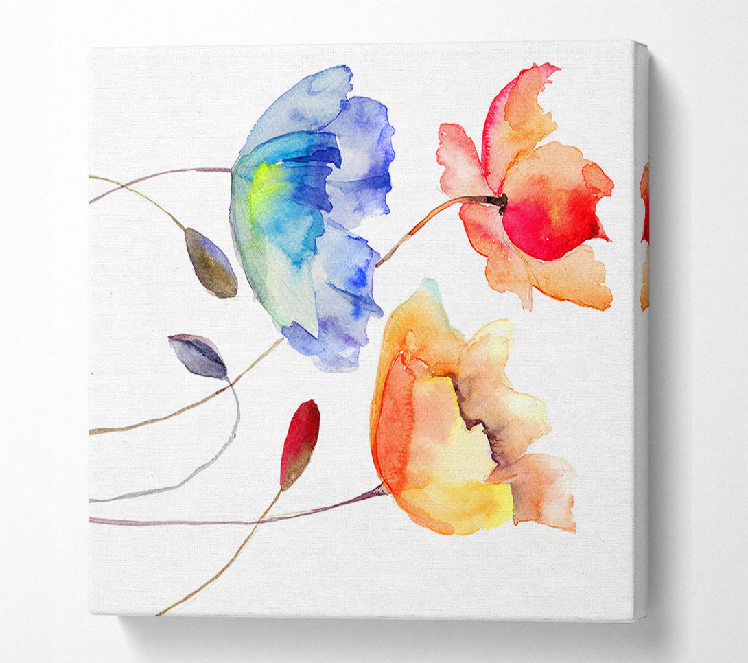  A Canvas Print of Poppy Watercolour Canvas Art