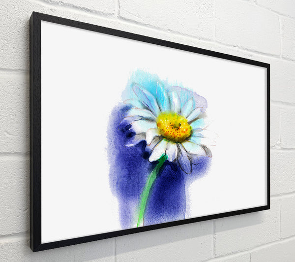 White Daisy Blues