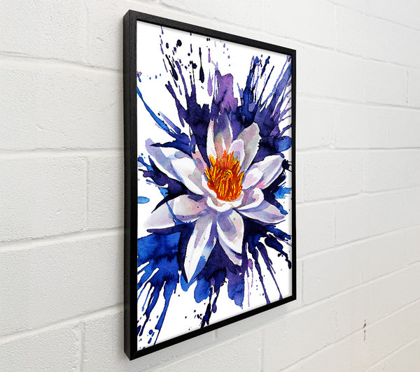 Water Lily Blues