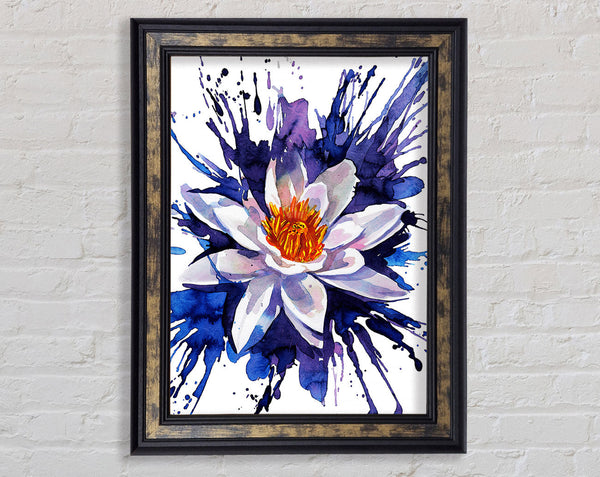 Water Lily Blues Framed Print